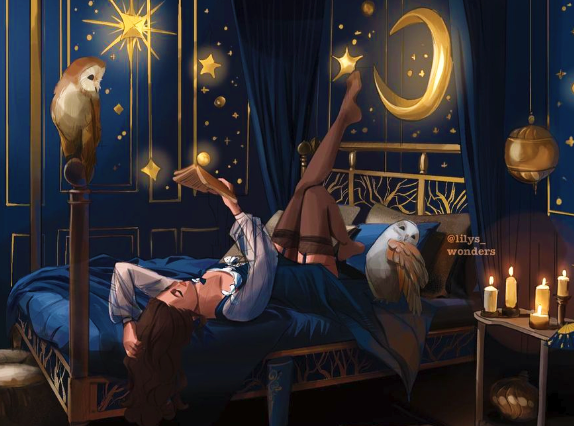 Witch's Bedroom And Her Owls Companions
