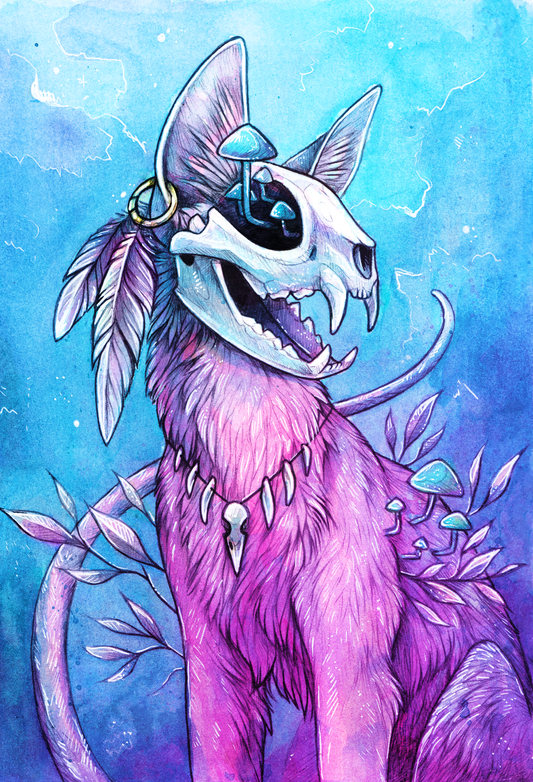 Skull Kitty