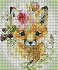 Little Baby Fox
