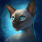 Siamese
