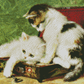 Kittens Trying To Fit In A Box | Henriette Ronner