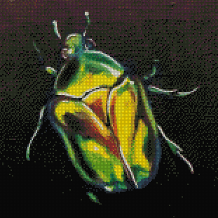 Green Beetle