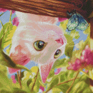 Itty Bitty Kitty