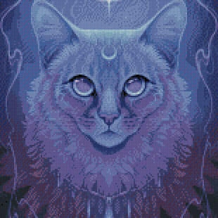 Luna Cat