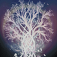 Tree Of Life