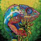 Capricious Chameleon