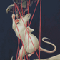 Cats Cradle