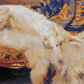 Lady Of Quality | Philip H. Calderon