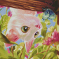 Itty Bitty Kitty