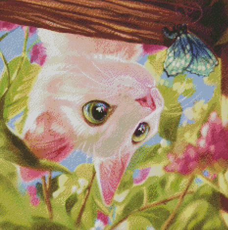 Itty Bitty Kitty