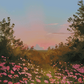 Sunset in Spring