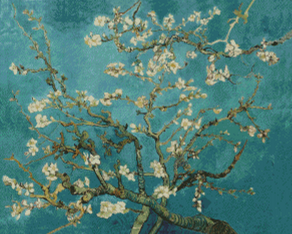 Almond Blossoms
