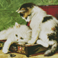 Kittens Trying To Fit In A Box | Henriette Ronner