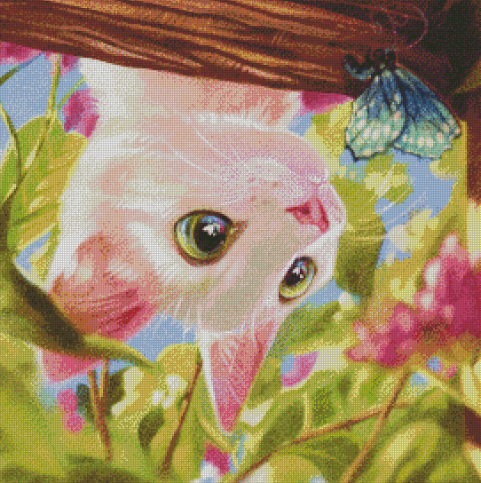 Itty Bitty Kitty