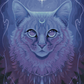 Luna Cat