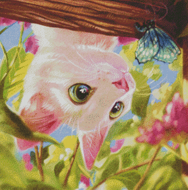 Itty Bitty Kitty