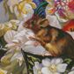 Alice's Doormouse mini crop