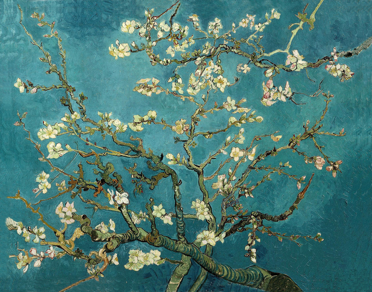 Almond Blossoms