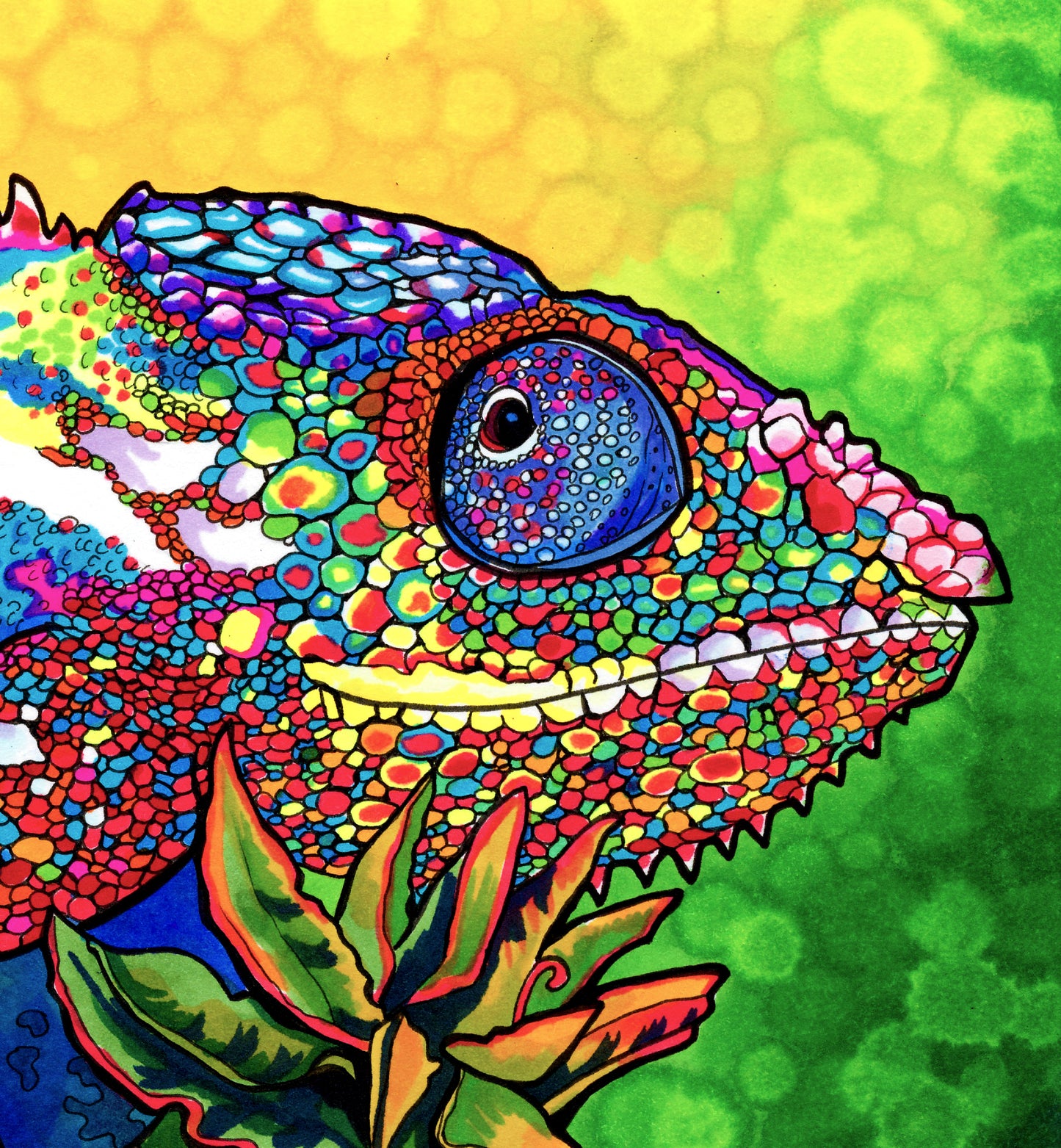 Capricious Chameleon
