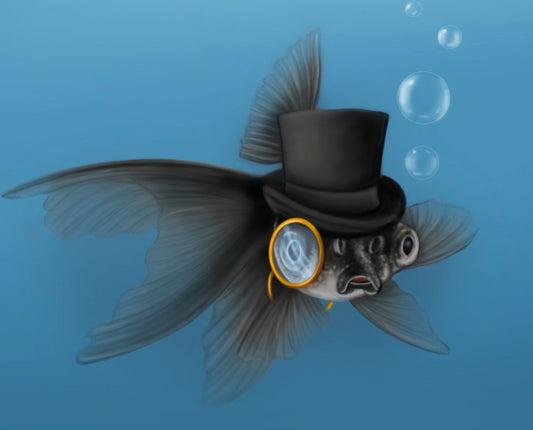 Harold the Fancy Goldfish