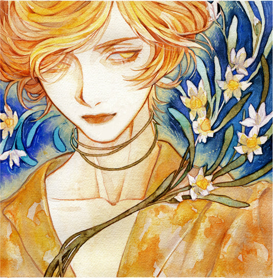 Narcissus