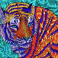 Telenergetic Tiger