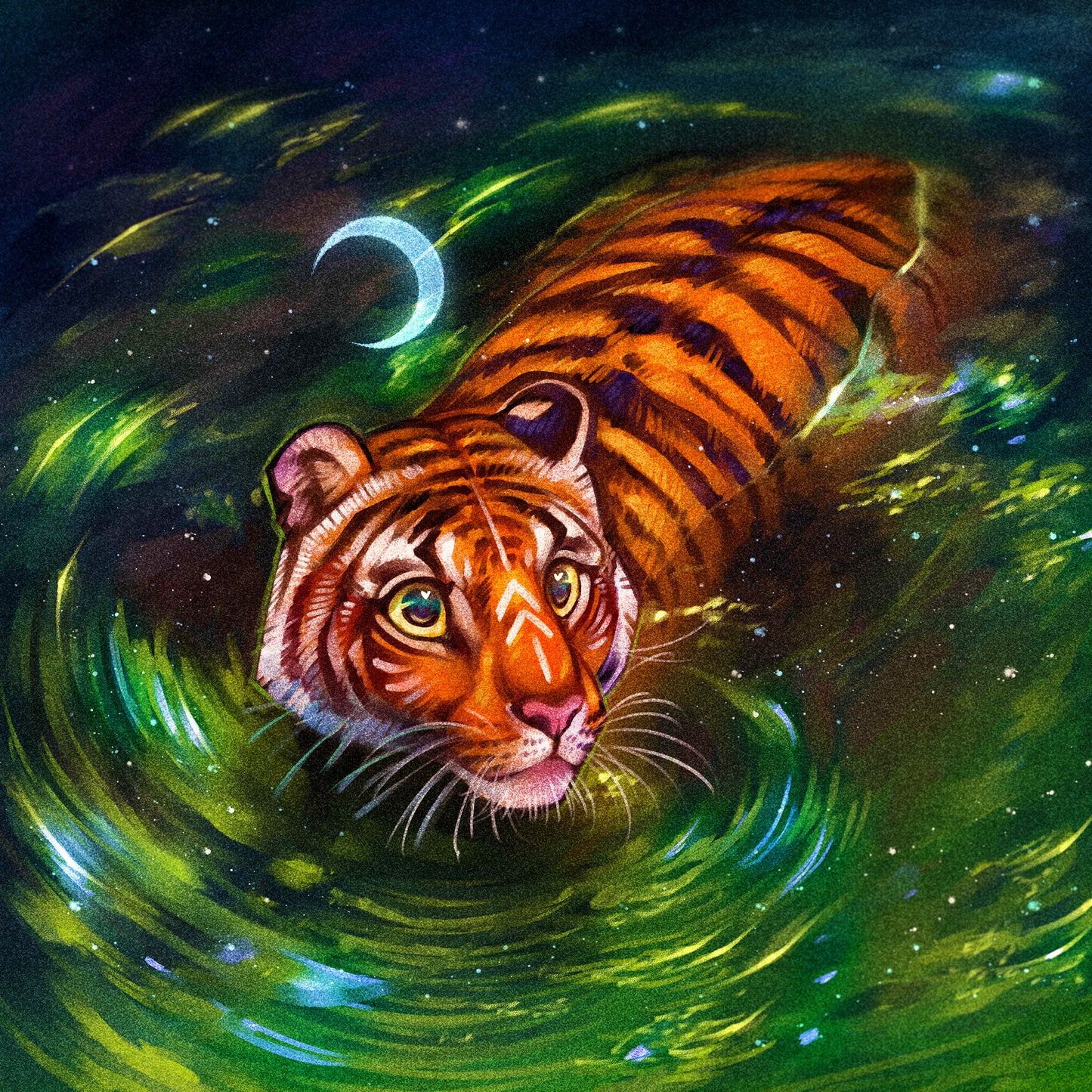 The Swim