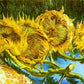 Four Cut Sunflowers