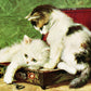 Kittens Trying To Fit In A Box | Henriette Ronner