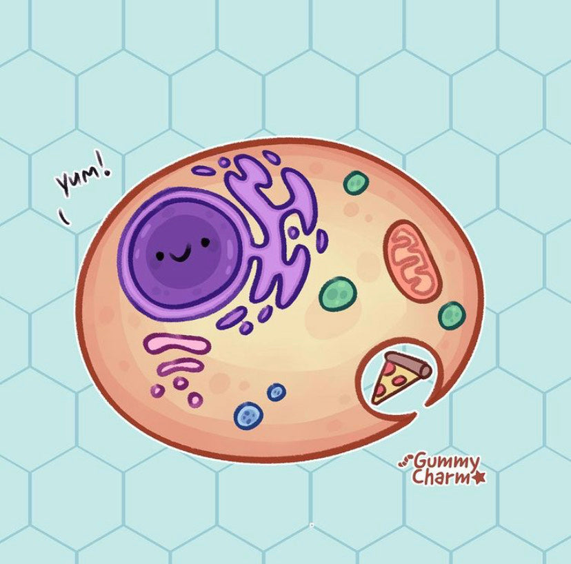 Cells Need Food Too