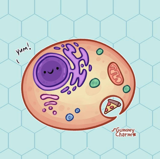 Cells Need Food Too