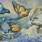 Sea Monarch