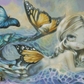 Sea Monarch